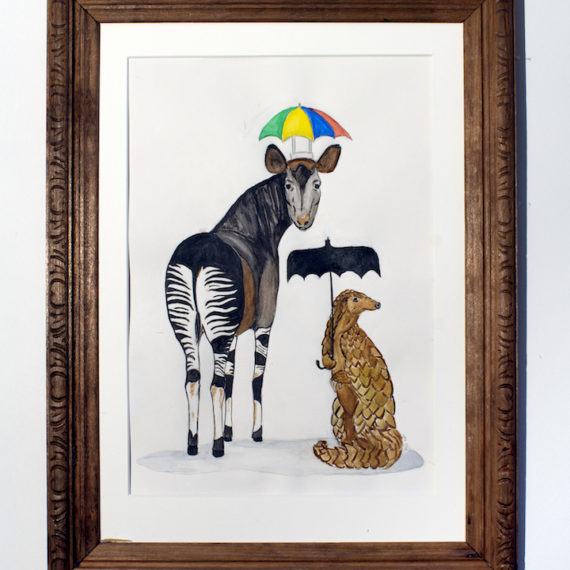 Okapi and Pangolin
